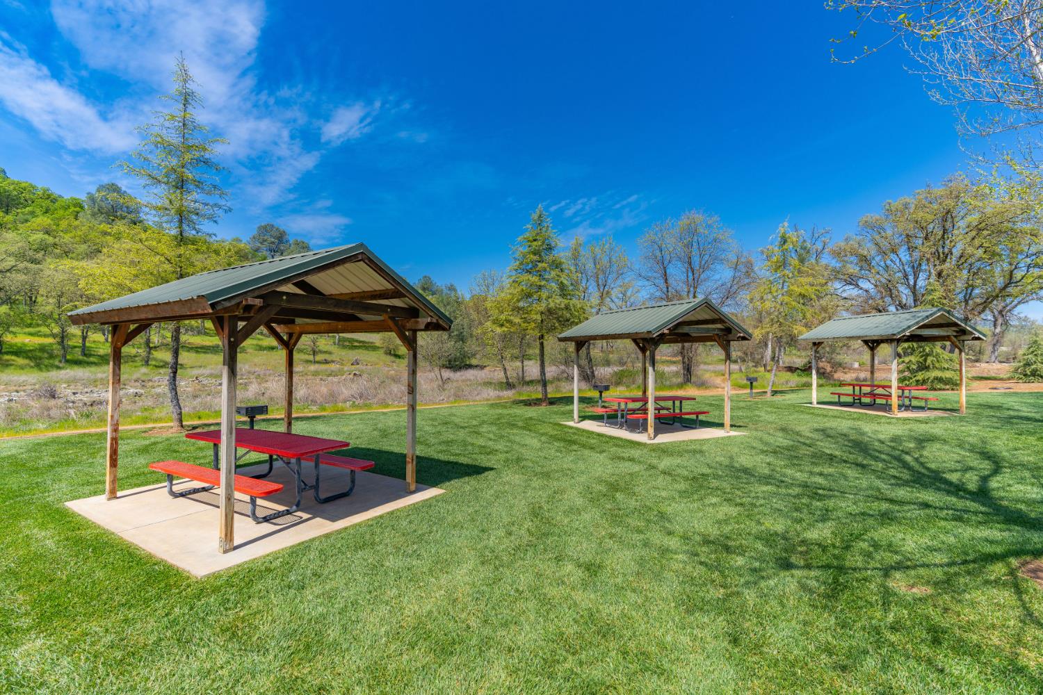 3600 Arrowhead Street Copperopolis, CA 95228 - Photo 15 of 17 a backyard of a house with table and chairs