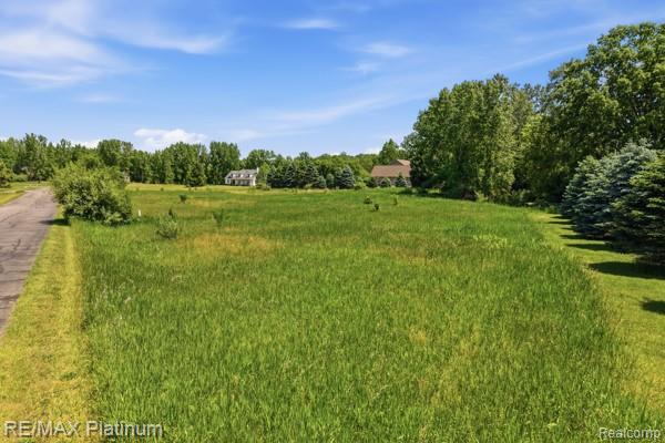 0 Iosco Mountain Road Gregory, MI 48137 - Photo 6 of 22