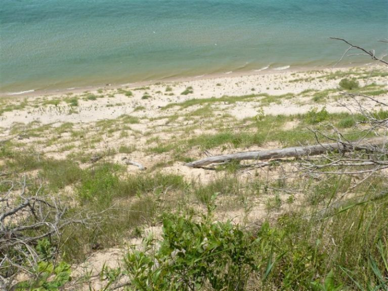 Lake Bluff Road, Unit F Arcadia, MI 49613 - Photo 12 of 12 Additional Photo