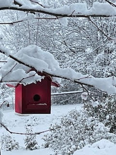 995 Suncrest Road Talent, OR 97540 - Photo 91 of 96 birdhouse in snow