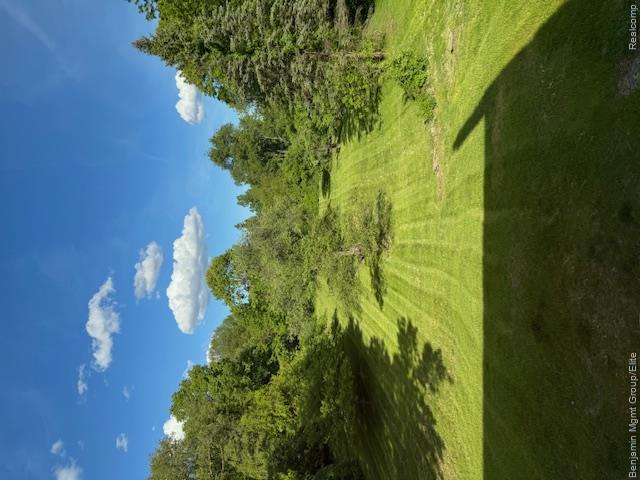 30430 Inkster Road Franklin, MI 48025 - Photo 2 of 22 Back yard