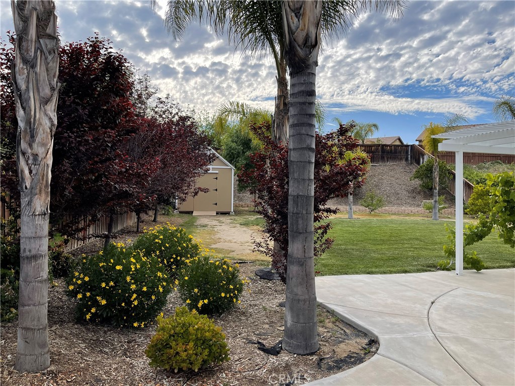 38017 Greenleaf Place Murrieta, CA 92562 - Photo 3 of 37 a view of a garden with a tree