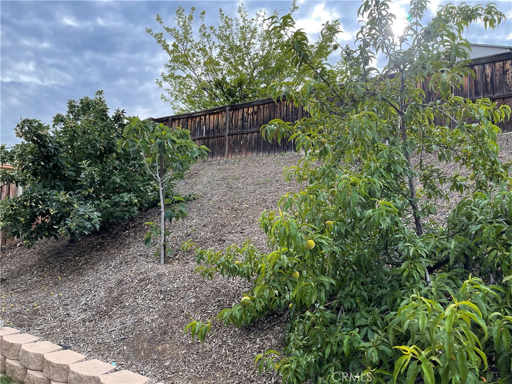 38017 Greenleaf Place Murrieta, CA 92562 - Photo 6 of 37 a garden view