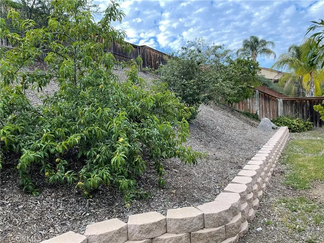 a view of a yard with plants and a bench