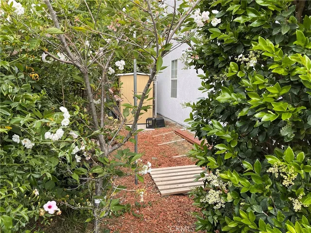 a view of a yard with plants
