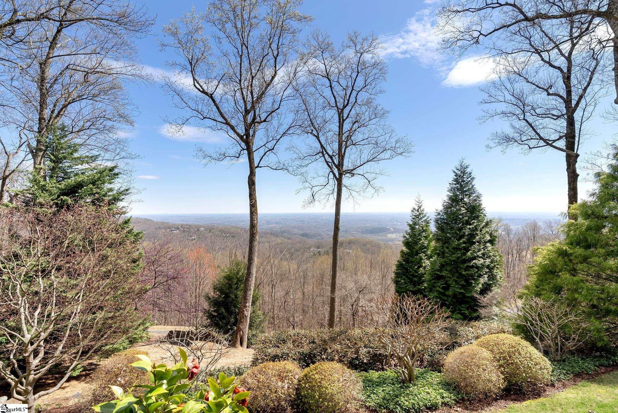 5 Falcons Ledge Drive Landrum, SC 29356 - Photo 2 of 48