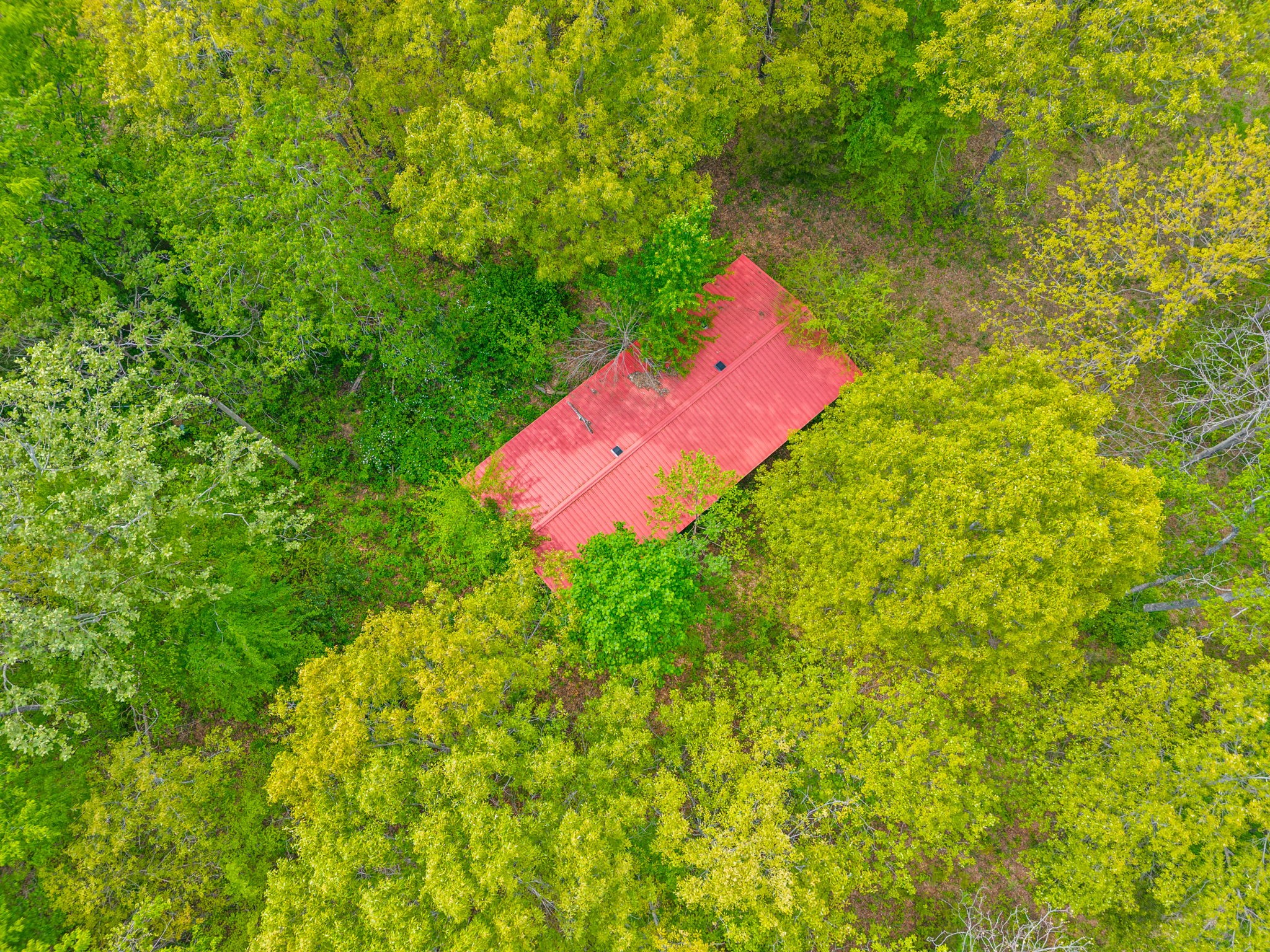 208 Tomsic Road Indian Mound, TN 37079 - Photo 14 of 40 Gallery Image 14