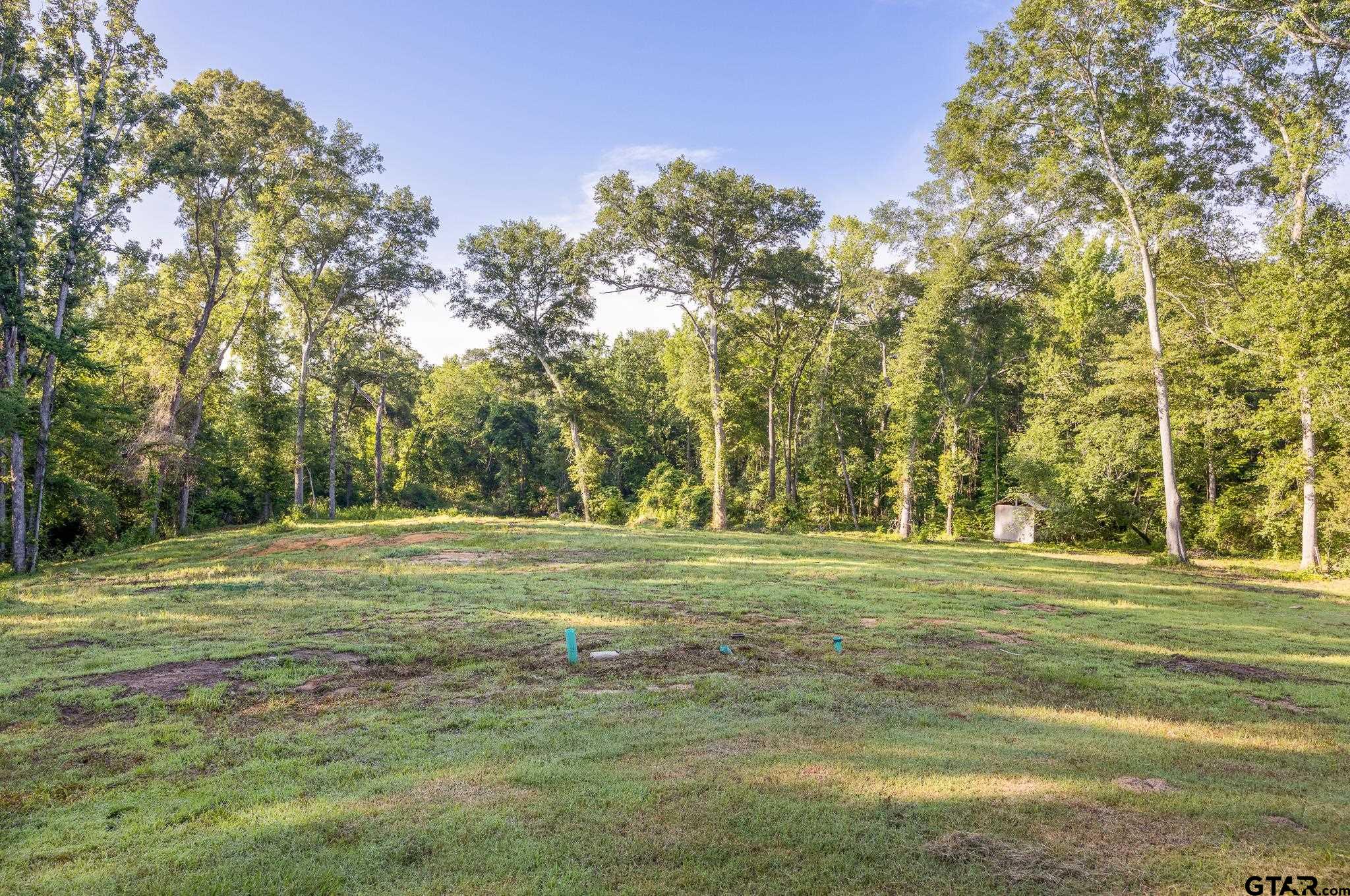 1428 Hagan Road Whitehouse, TX 75791 - Photo 23 of 37 a view of a trees in a yard