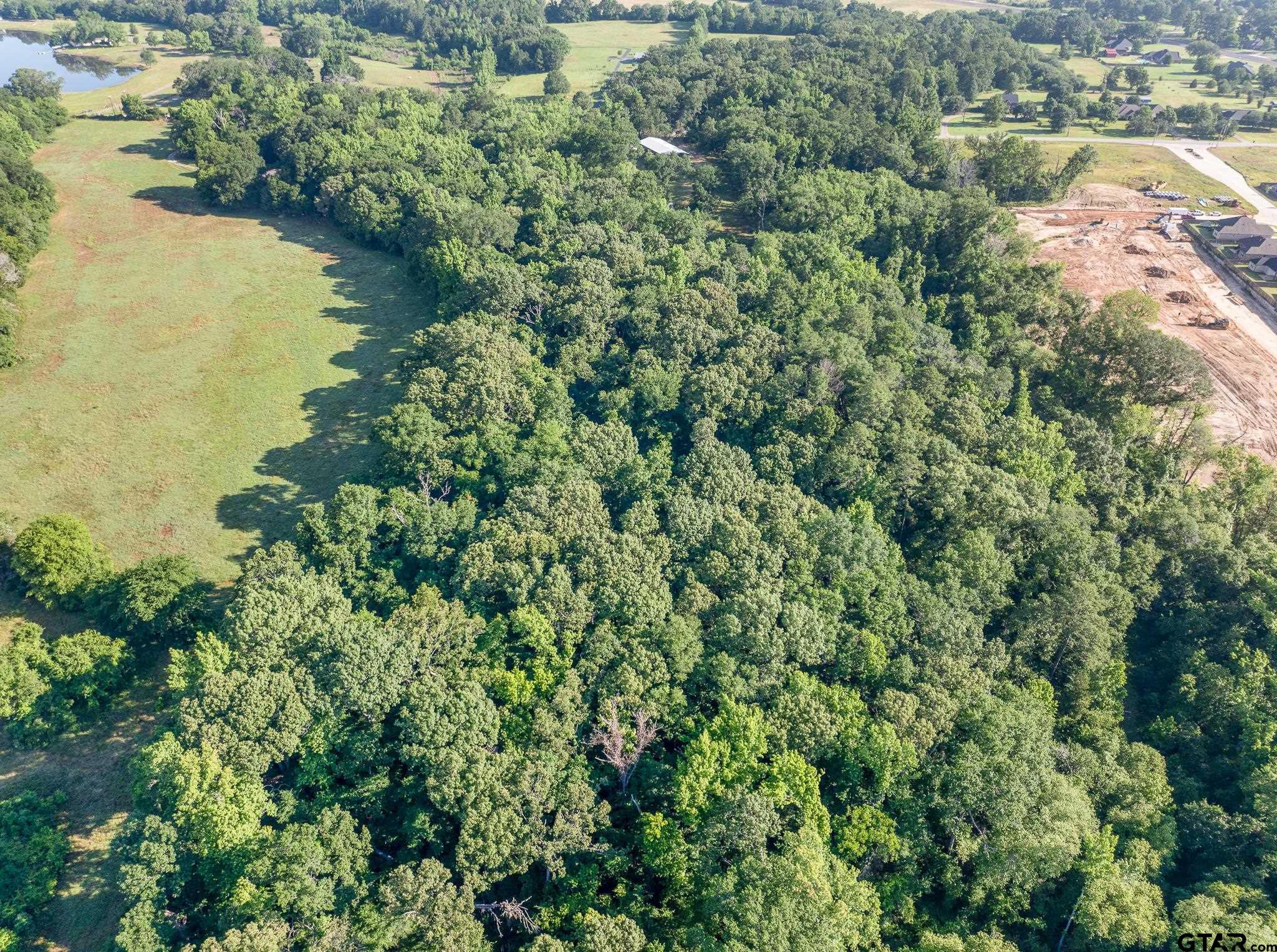 1428 Hagan Road Whitehouse, TX 75791 - Photo 25 of 37 an aerial view of residential houses with outdoor space and trees around