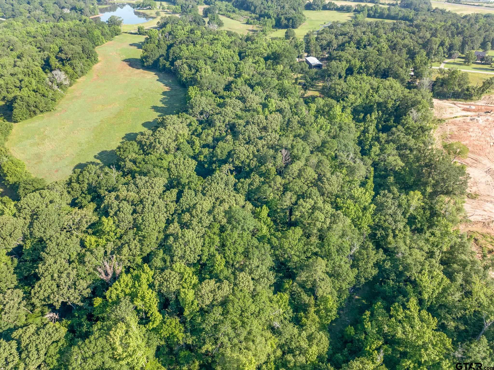 1428 Hagan Road Whitehouse, TX 75791 - Photo 26 of 37 a view of a lake in a forest with lots of trees