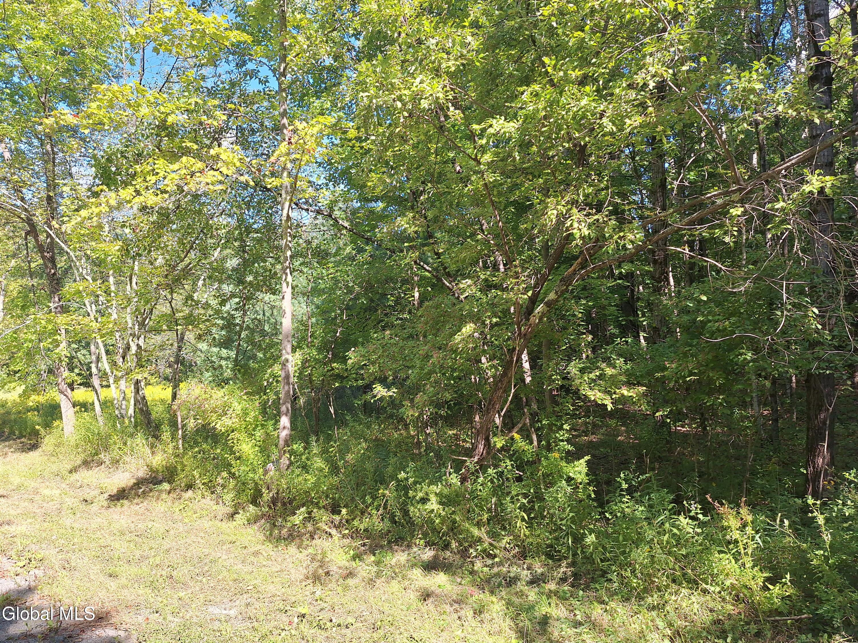 L5.22 Weaver Dam Road Petersburgh, NY 12138 - Photo 4 of 4 20250830_112331