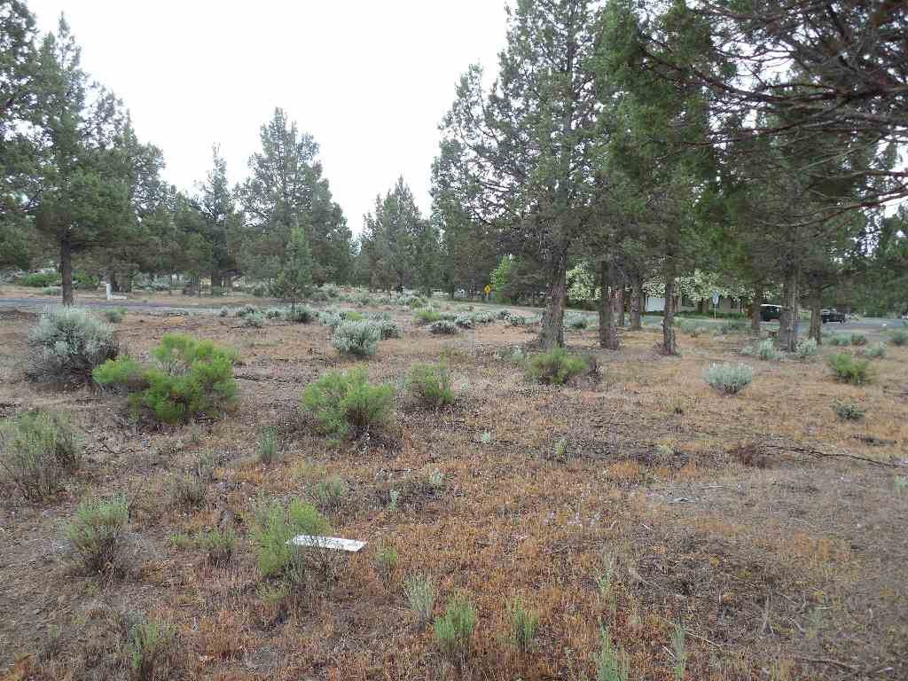 8-2 Unt Road Weed, CA 96094 - Photo 14 of 17 Gallery Image 14