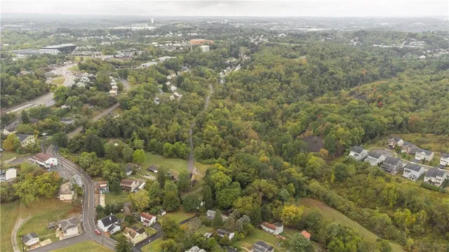 an aerial view of forest