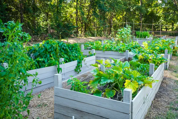 $339,900 | 32 White Herron Circle, Aiken, SC 29801