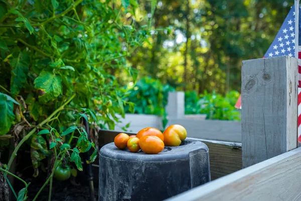 $339,900 | 32 White Herron Circle, Aiken, SC 29801