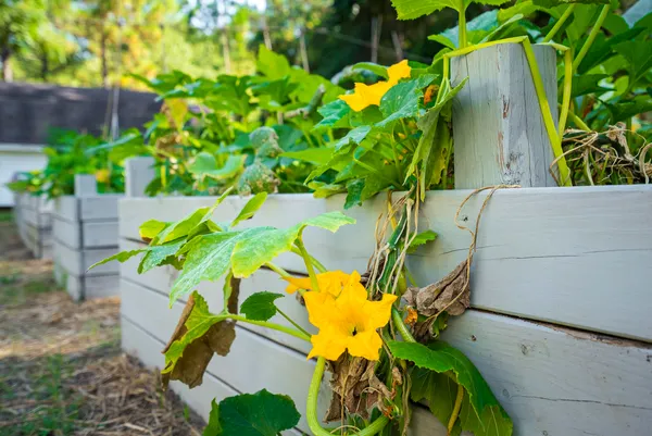 $339,900 | 32 White Herron Circle, Aiken, SC 29801