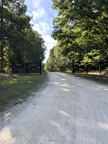 a view of a yard with plants and trees