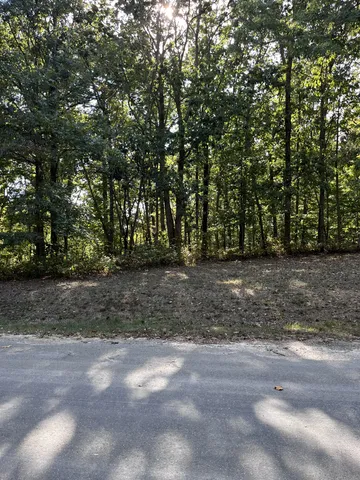 a view of outdoor space with trees
