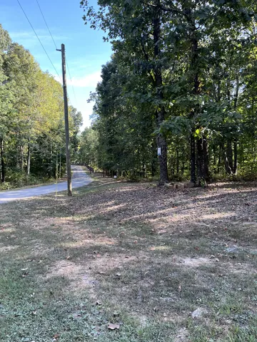 a view of a tree in a yard