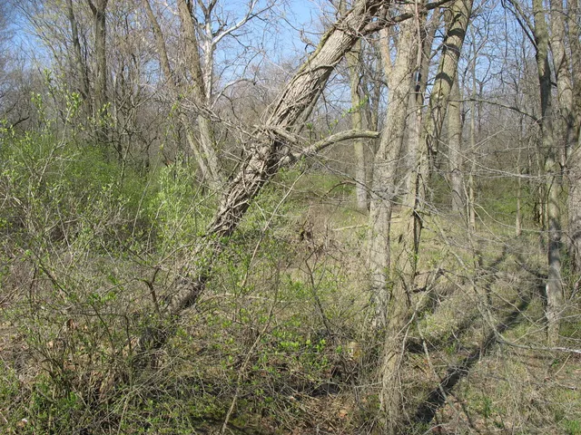 $795,000 | Undisclosed Address, Pittsboro, IN 46112