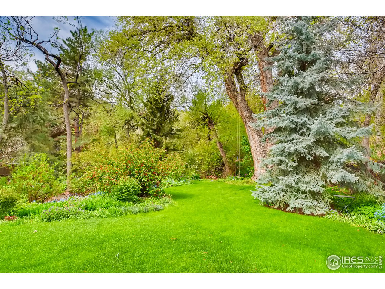 2123 4th Street Boulder, CO 80302 - Photo 36 of 40 a view of a yard with a tree
