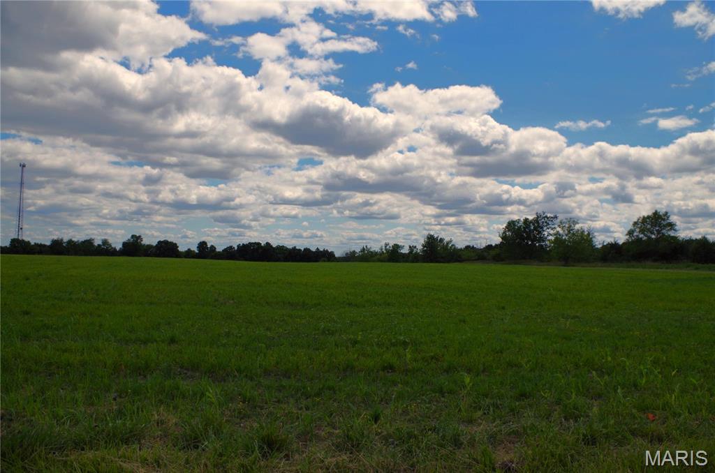 0 Cheatham Road Troy, MO 63379 - Photo 2 of 11