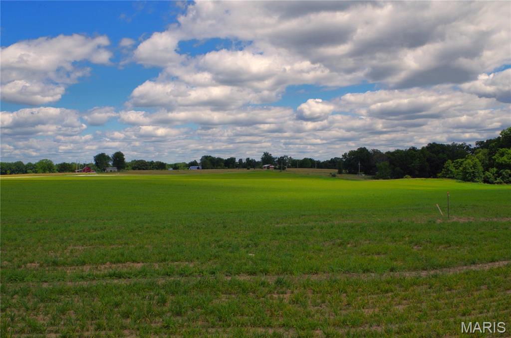 0 Cheatham Road Troy, MO 63379 - Photo 5 of 11