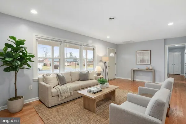a living room with furniture potted plant and a window