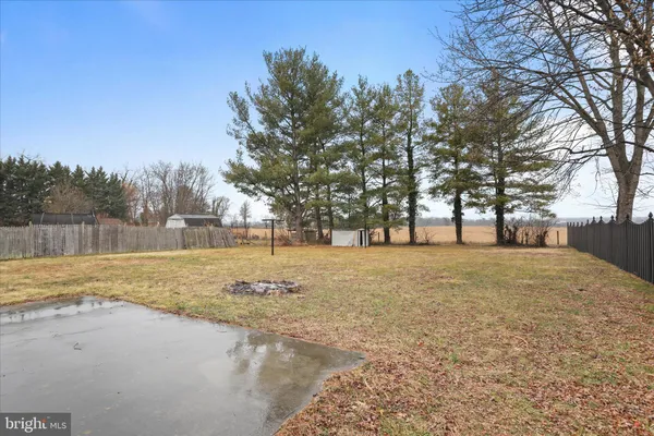a view of road with trees