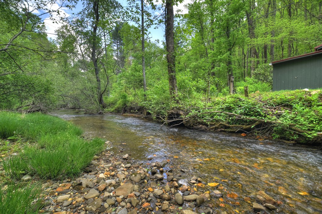 14092 Big Creek Road Cherry Log, GA 30522 - Photo 23 of 39