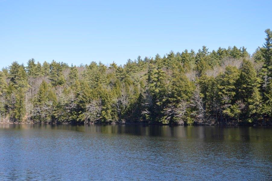 Lot 59 North Shore Road Gray, ME 04039 - Photo 1 of 22 View of the land from across Notched...