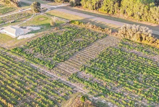 a view of a yard with plants