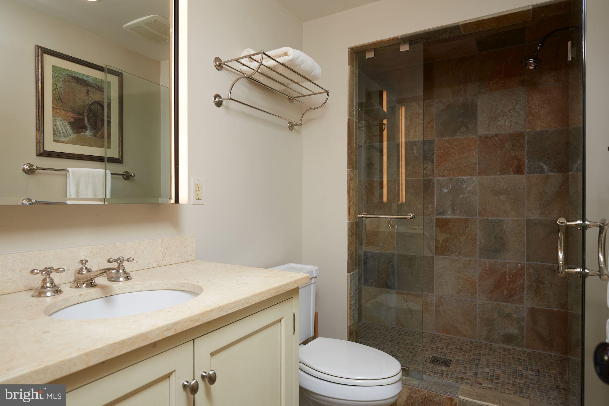 408 A Street Southeast Washington, DC 20003 - Photo 34 of 35 Bathroom