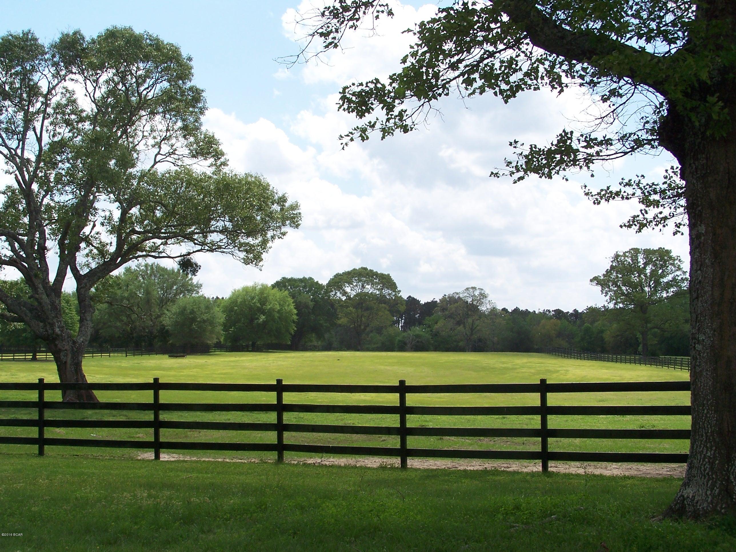 1059 Wilcox Crossing Road Bonifay, FL 32425 - Photo 55 of 70 Gallery Image 55