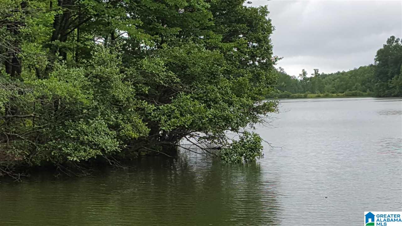 11-acres Deer Run Road, Unit 148330000001 010 Alabaster, AL 35007 - Photo 15 of 34