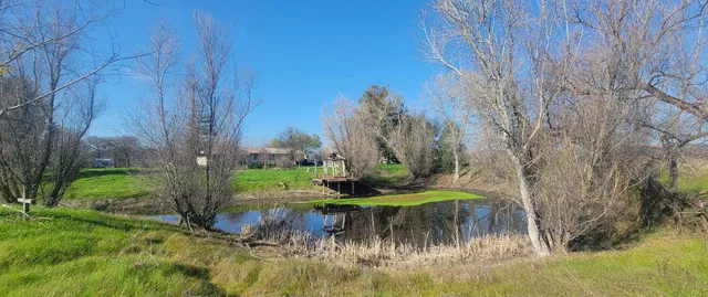 $750,000 | 3536 South Burson Road, Valley Springs, CA 95252