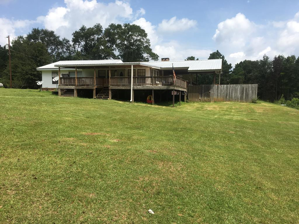 Main View