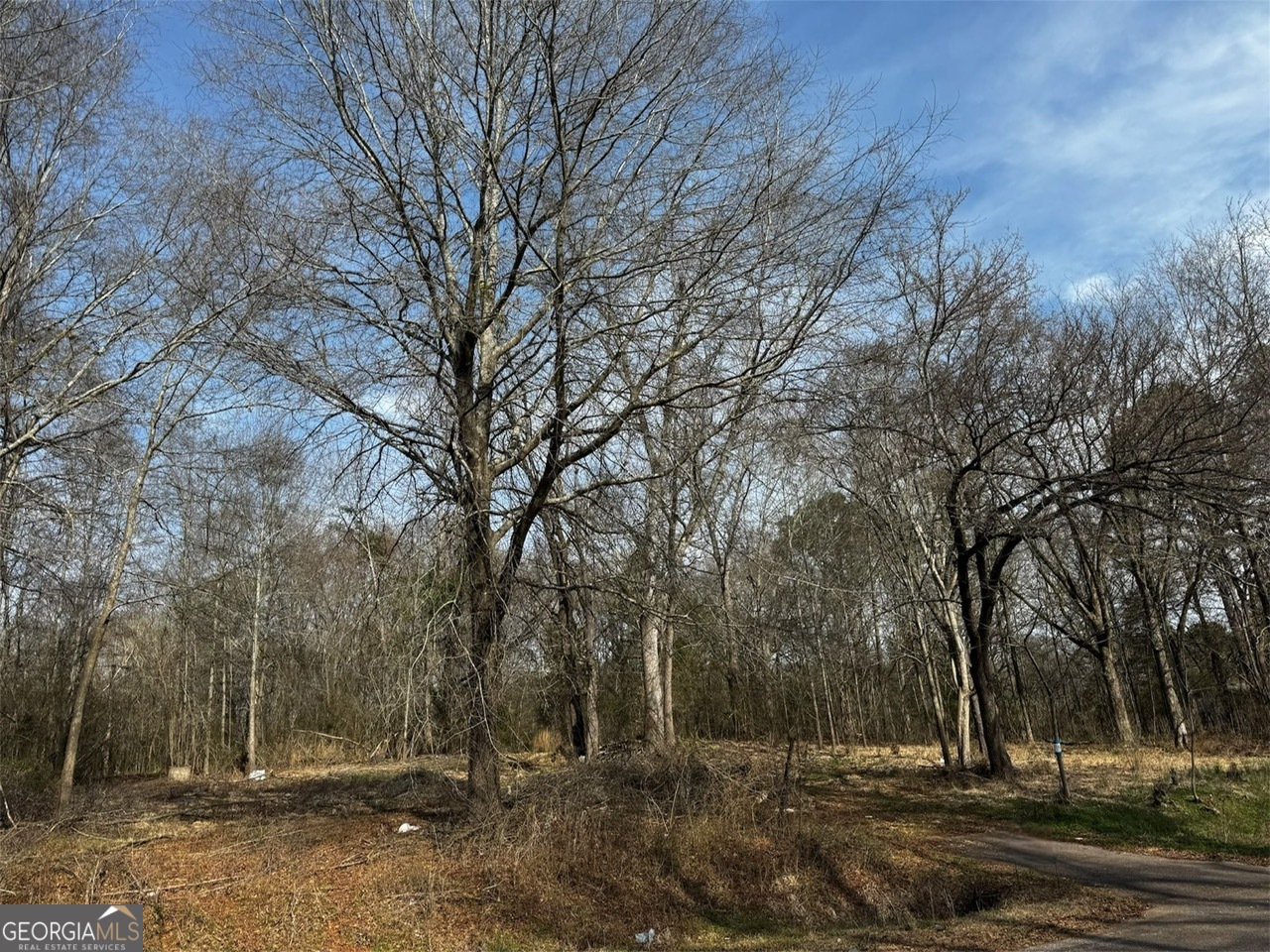 a view of outdoor space and yard