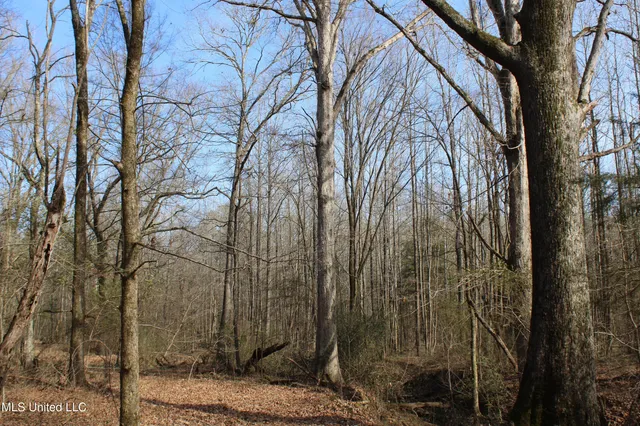 $99,900 | 5 Hollow Crossing Cove, Senatobia, MS 38668