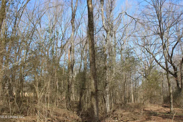 $99,900 | 5 Hollow Crossing Cove, Senatobia, MS 38668