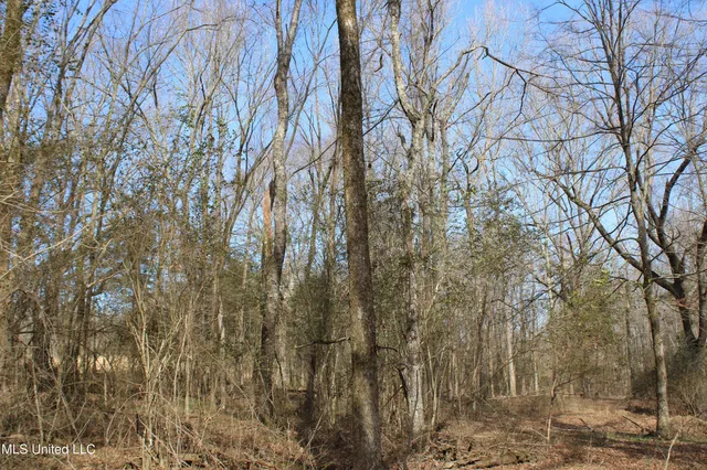 $99,900 | 5 Hollow Crossing Cove, Senatobia, MS 38668