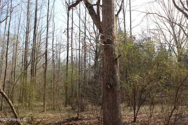 $99,900 | 5 Hollow Crossing Cove, Senatobia, MS 38668