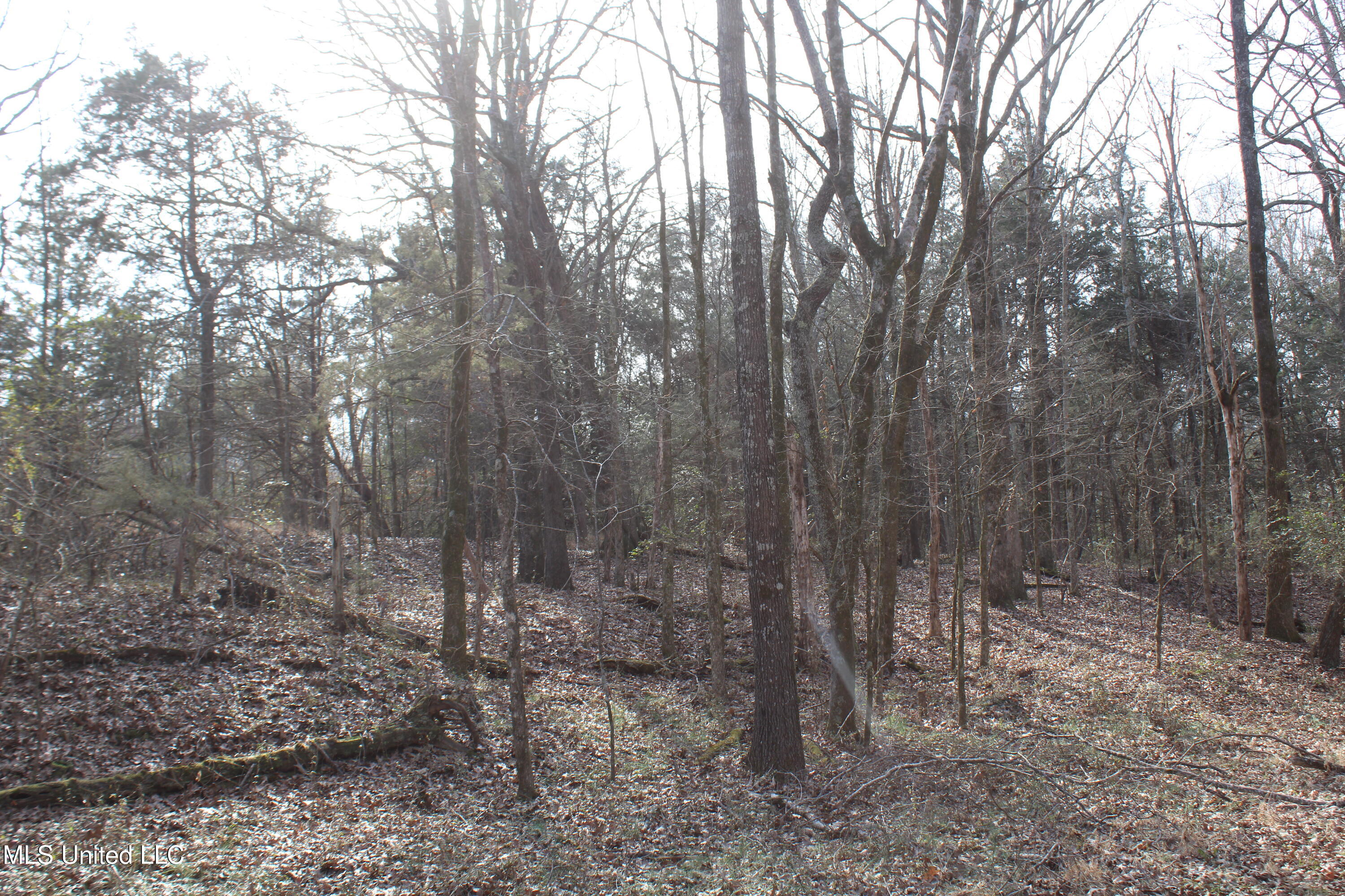5 Hollow Crossing Cove Senatobia, MS 38668 - Photo 15 of 38 IMG_5560