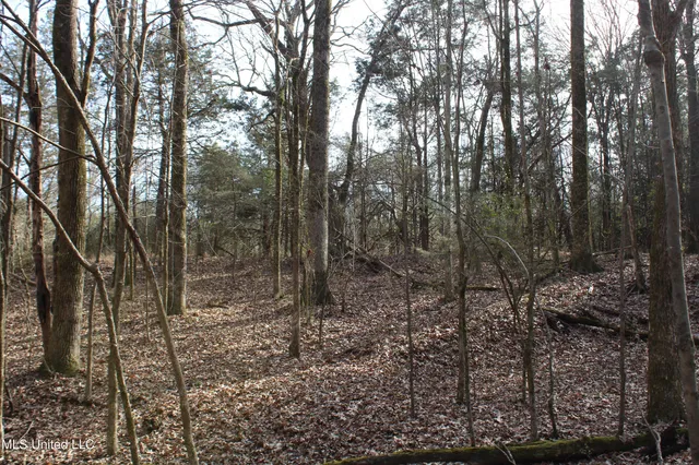 $99,900 | 5 Hollow Crossing Cove, Senatobia, MS 38668