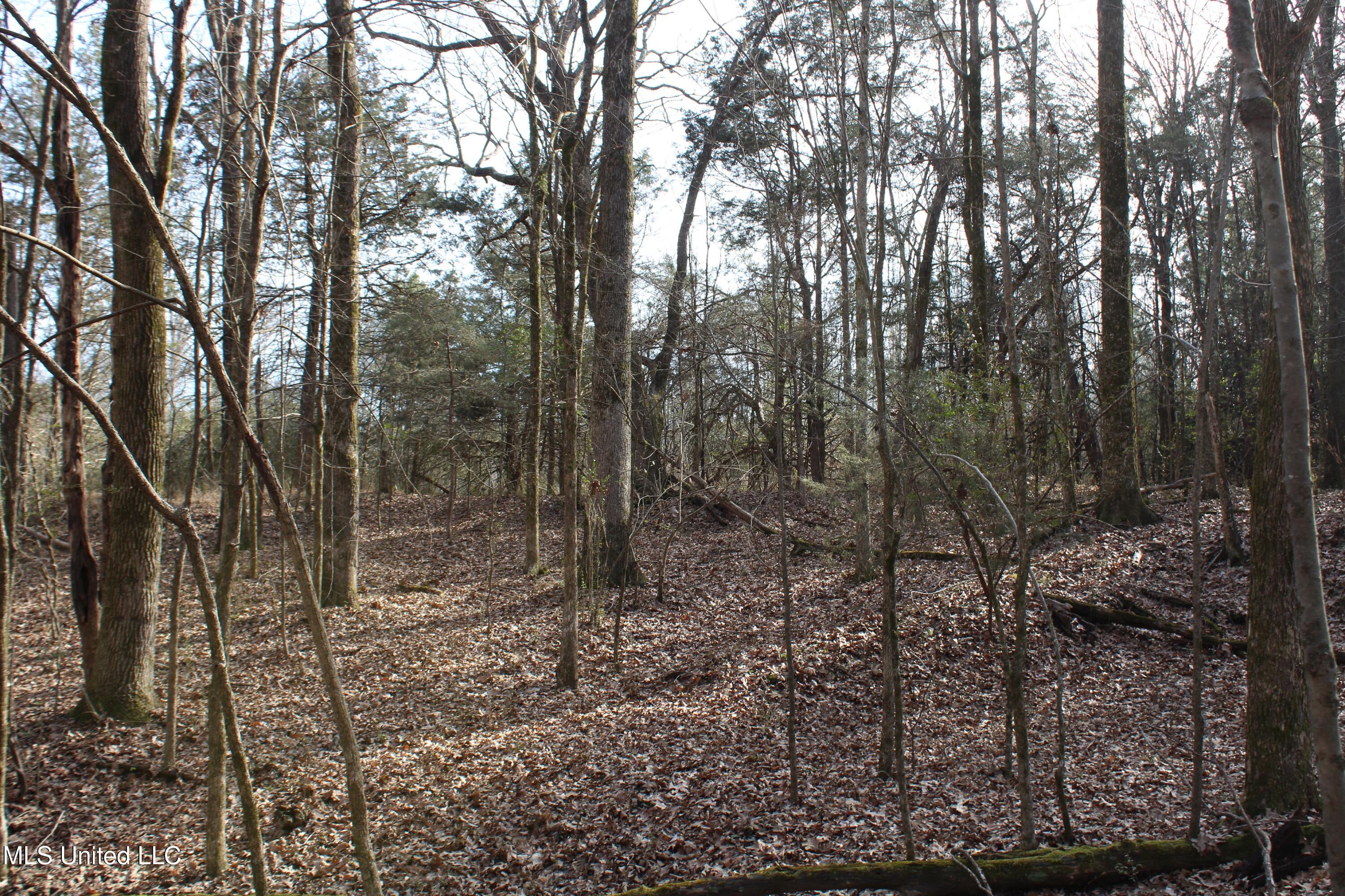 5 Hollow Crossing Cove Senatobia, MS 38668 - Photo 16 of 38 IMG_5561