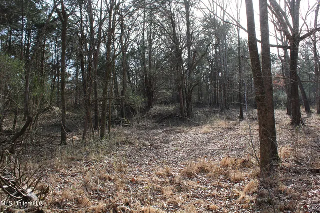 $99,900 | 5 Hollow Crossing Cove, Senatobia, MS 38668