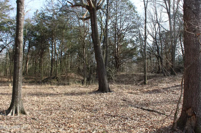 $99,900 | 5 Hollow Crossing Cove, Senatobia, MS 38668