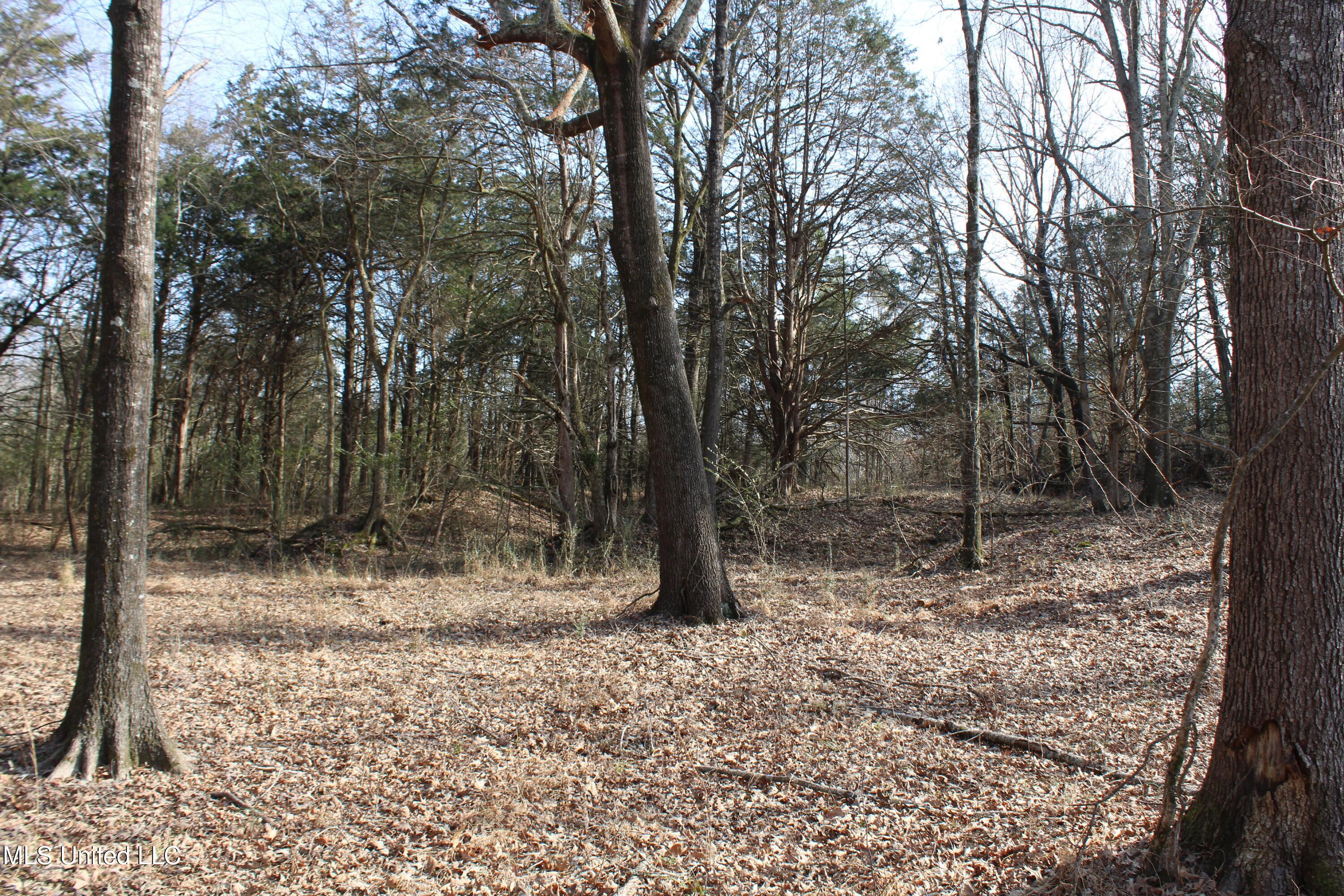 5 Hollow Crossing Cove Senatobia, MS 38668 - Photo 18 of 38 IMG_5563