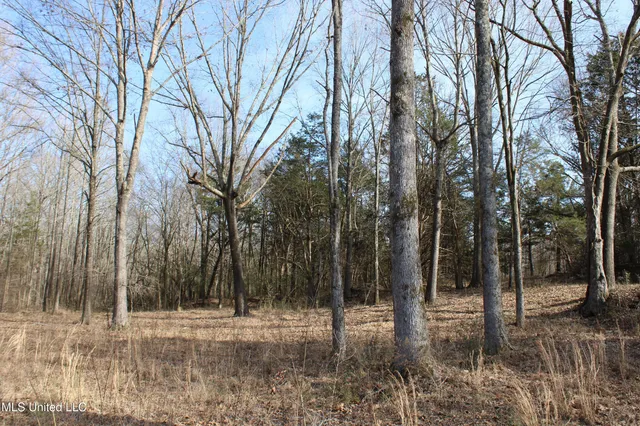 $99,900 | 5 Hollow Crossing Cove, Senatobia, MS 38668