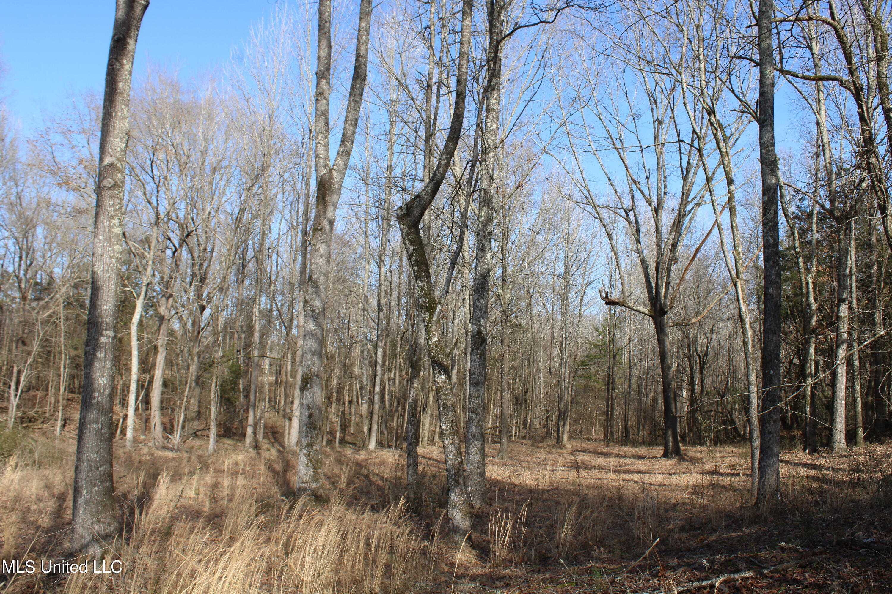 5 Hollow Crossing Cove Senatobia, MS 38668 - Photo 20 of 38 IMG_5565